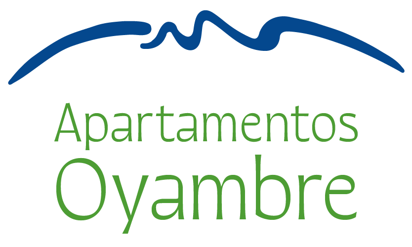 Apartamentos Oyambre